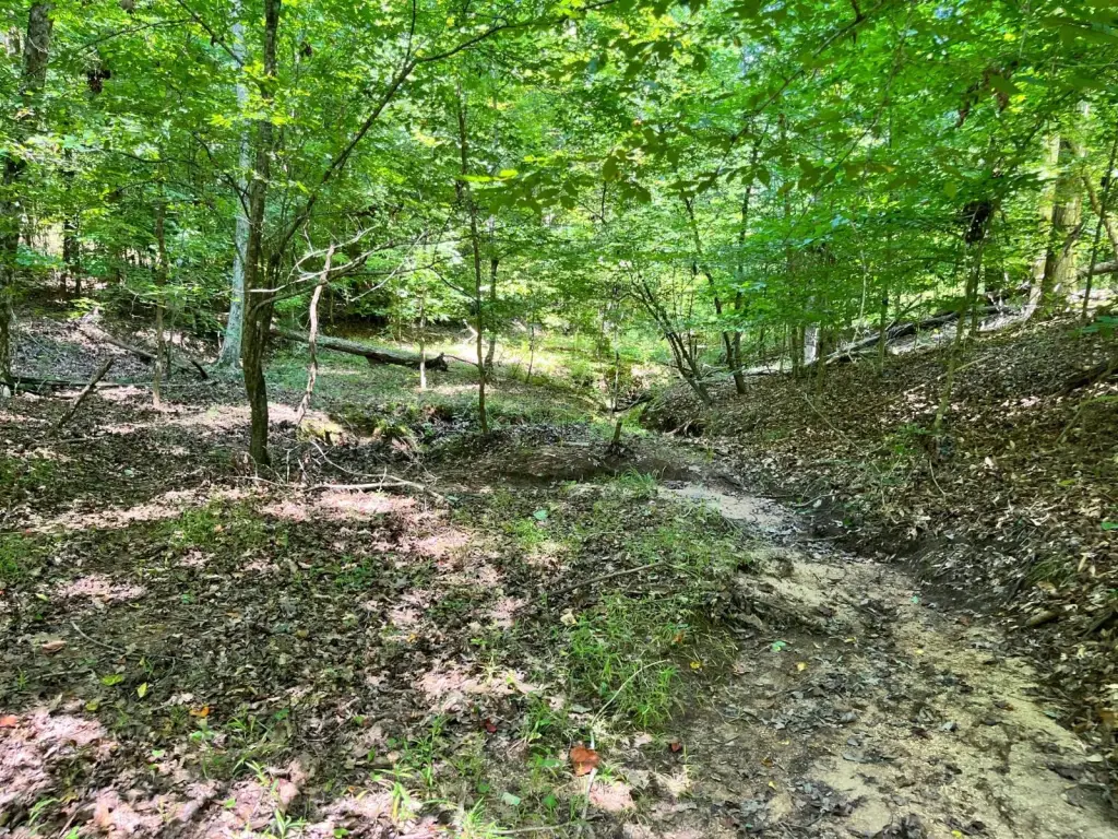 Picture 19