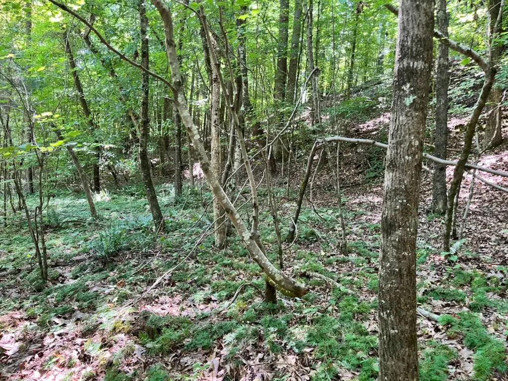 Picture 17