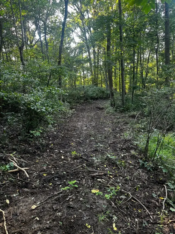 Picture 36