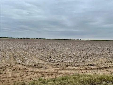 Mercedes, TX Farmland Opportunity