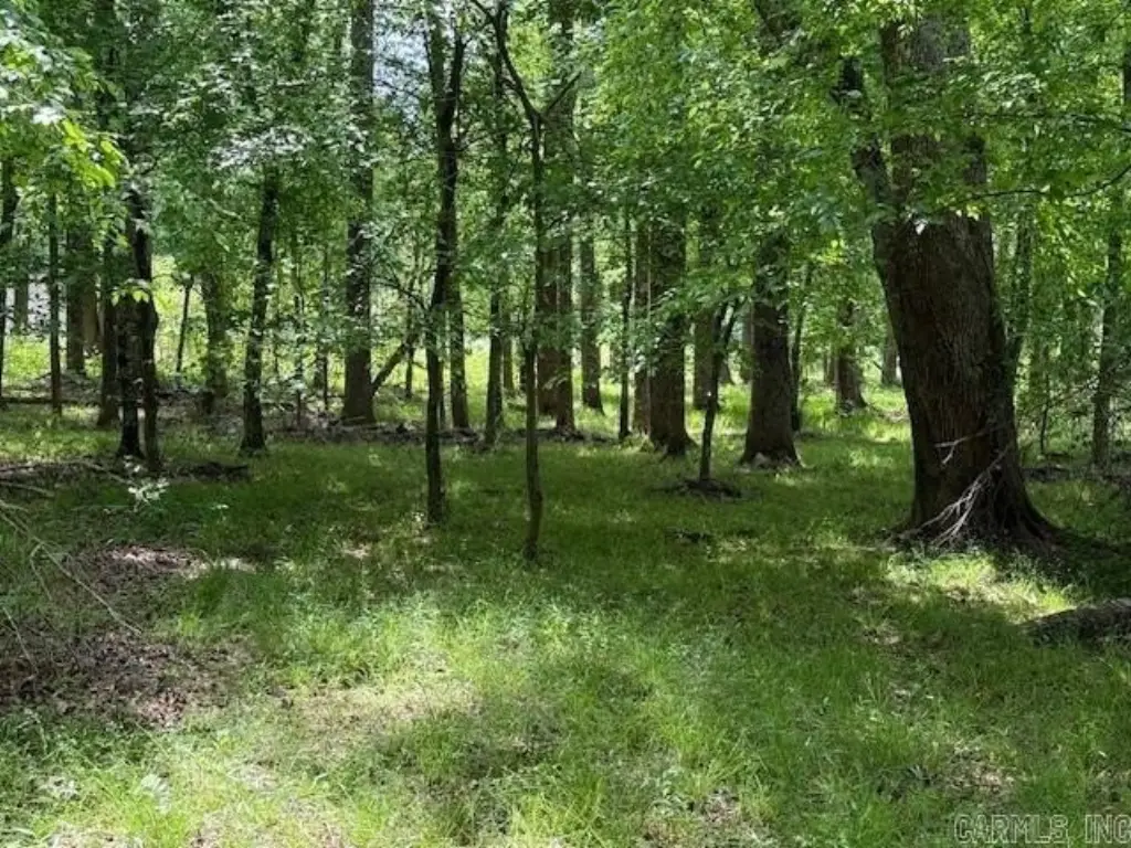 Picture 16