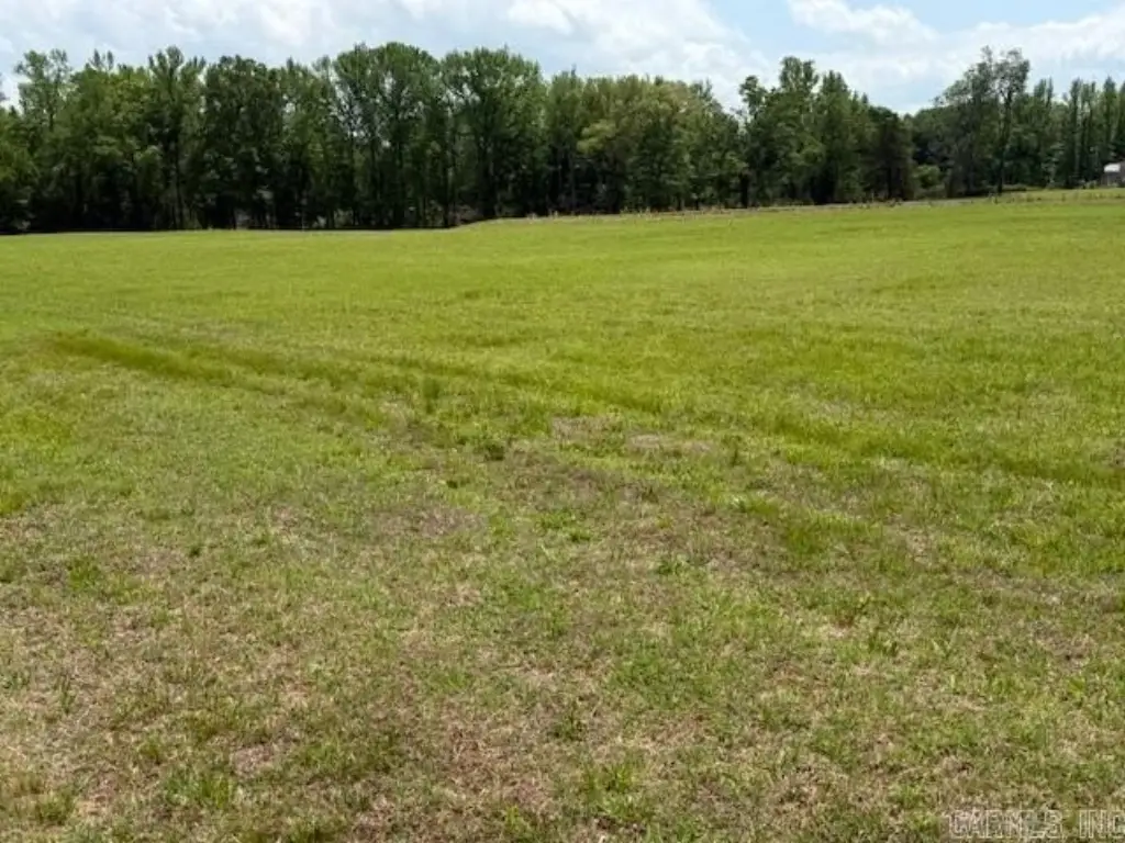 Picture 8