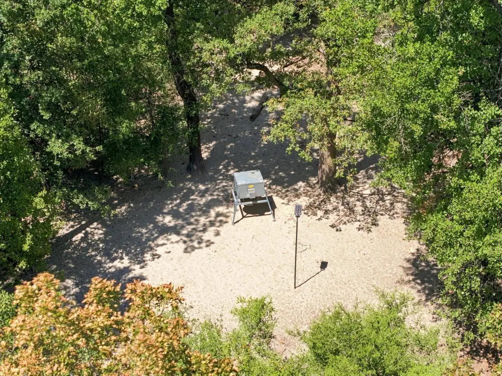 Picture 15