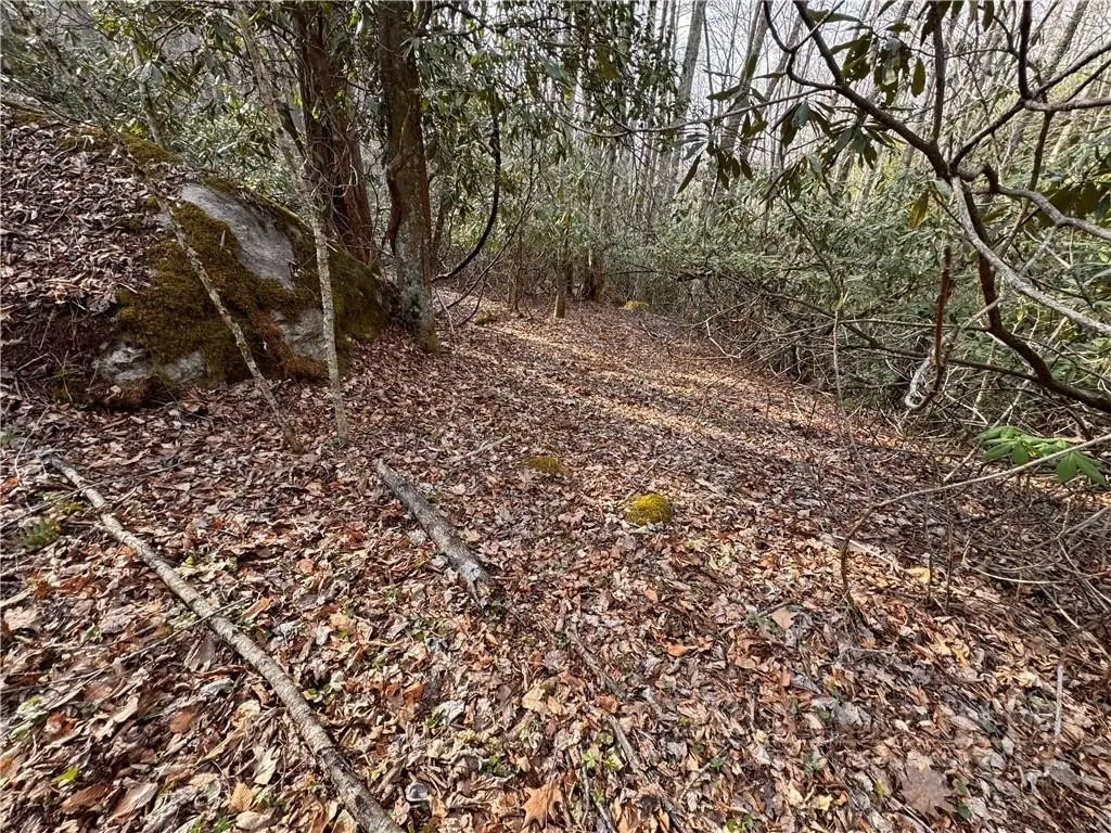 Picture 37