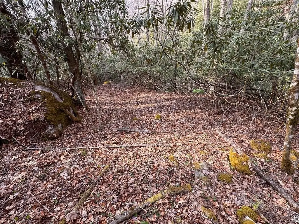 Picture 38