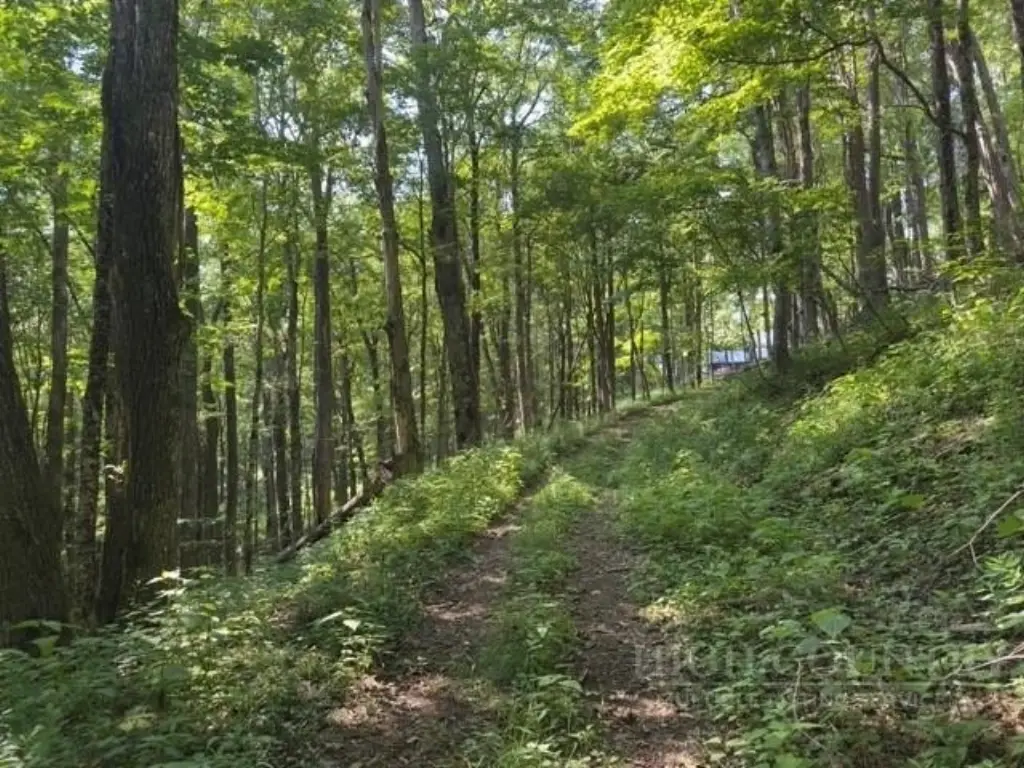 Picture 3