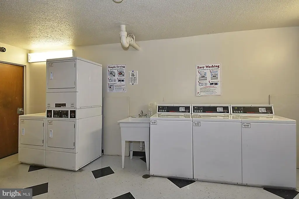 Picture 24