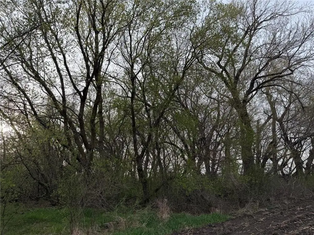 Picture 33