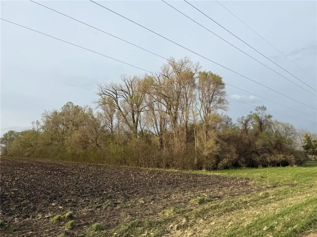 Picture 36