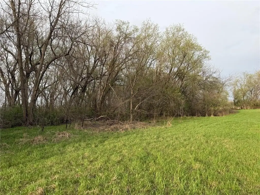 Picture 31