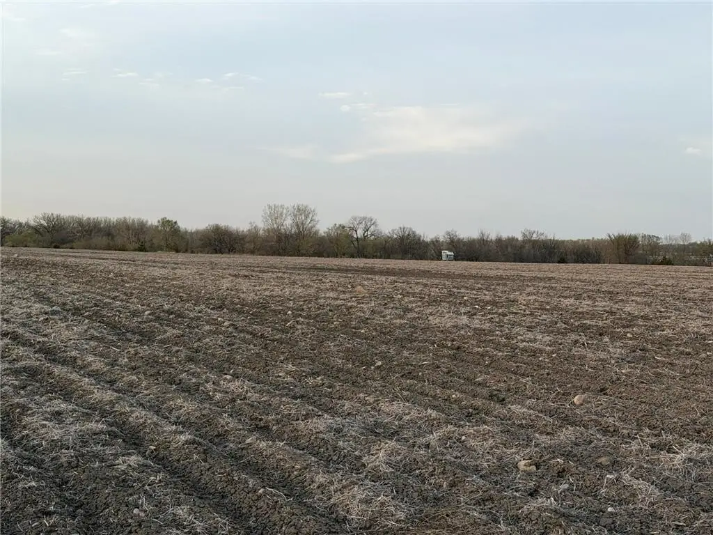 Picture 15
