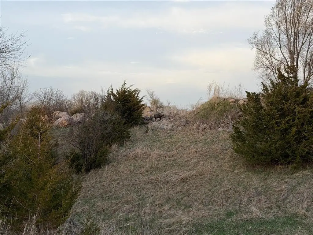 Picture 9