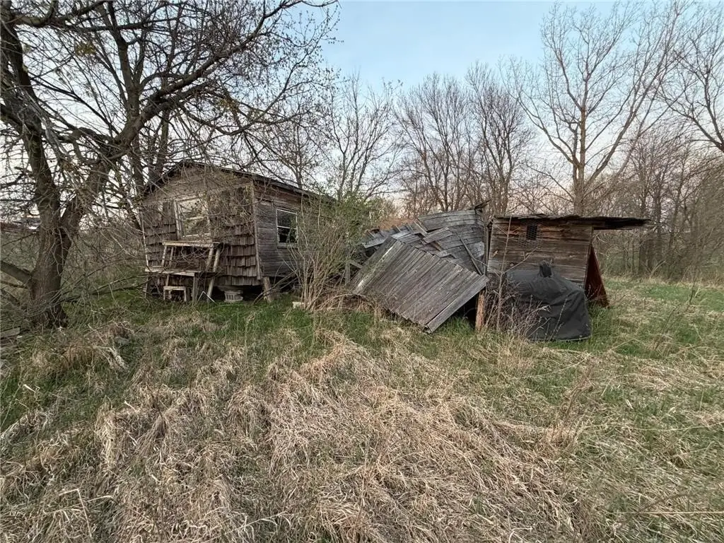 Picture 46