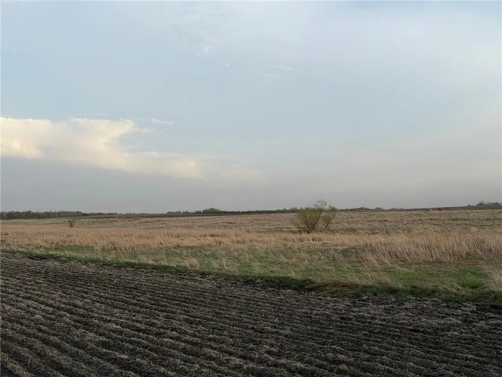 Picture 12