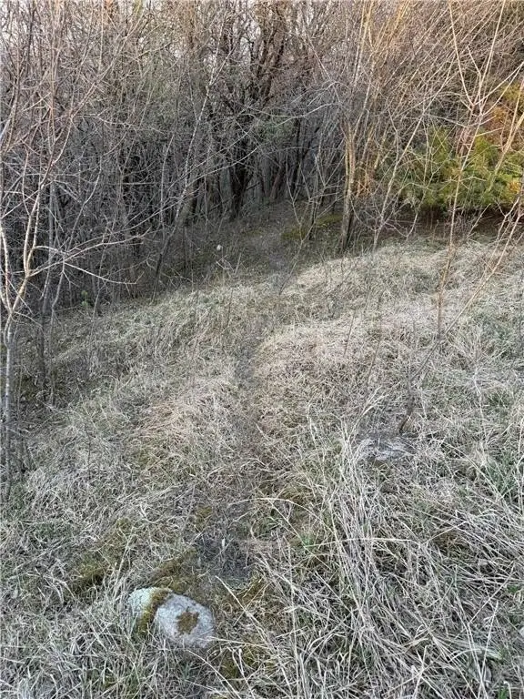 Picture 38