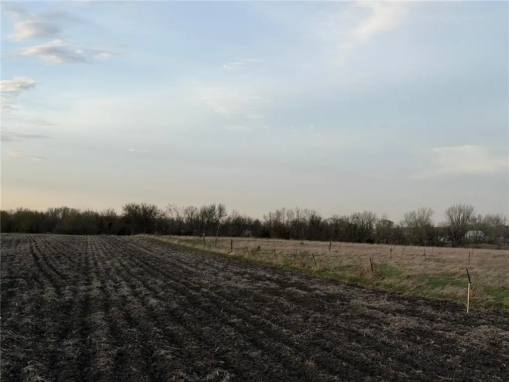 Picture 18