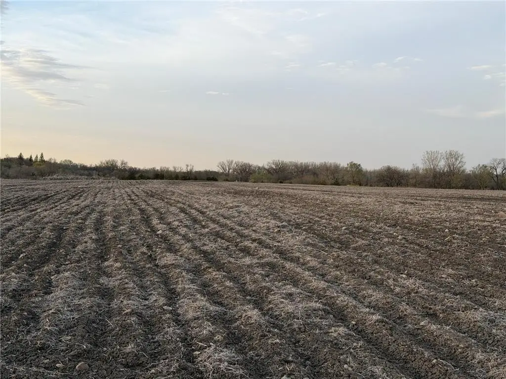 Picture 14
