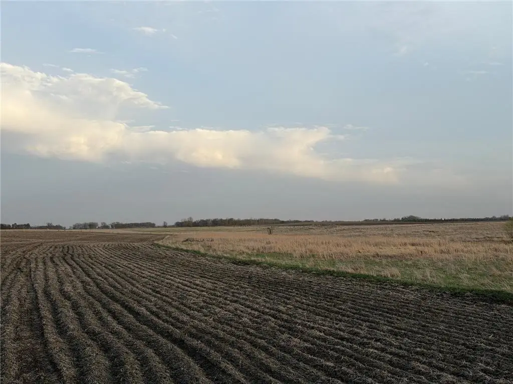 Picture 13