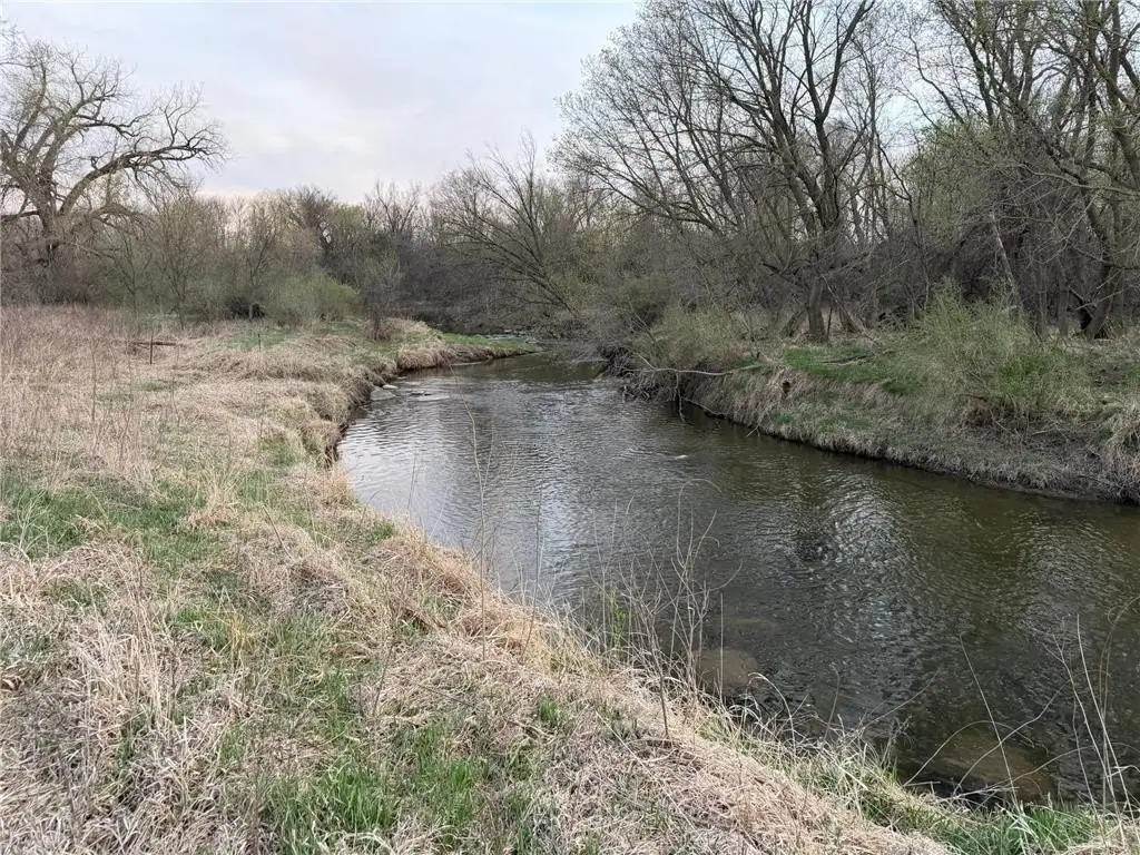 Picture 45