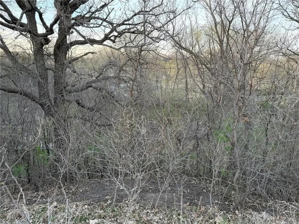 Picture 23