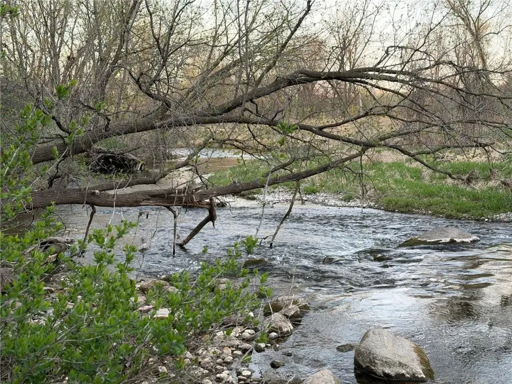 Picture 31