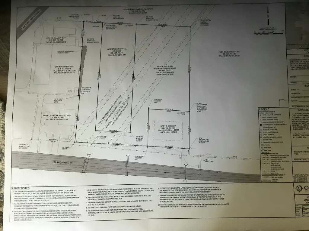 Picture 5