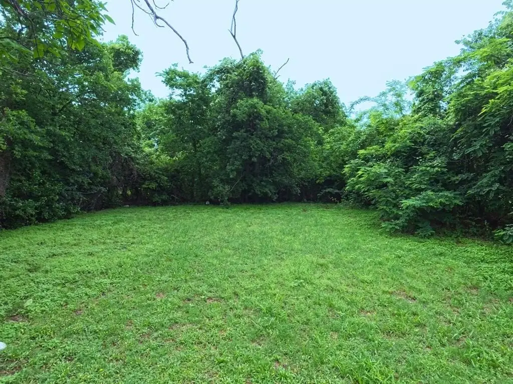 Picture 6