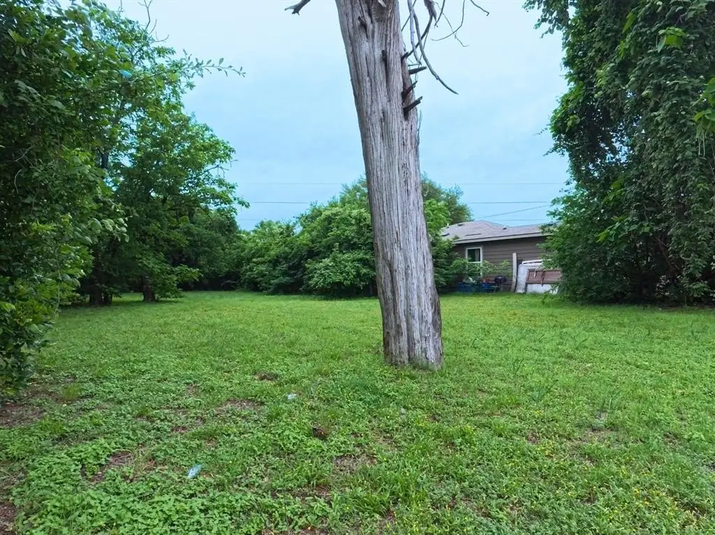 Picture 5
