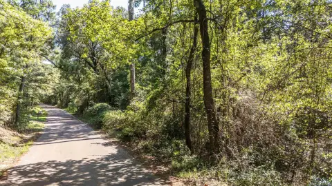 Hallsville Land with Creek