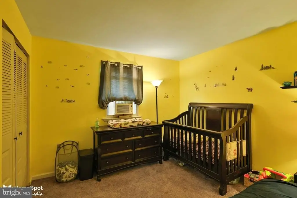 Picture 14