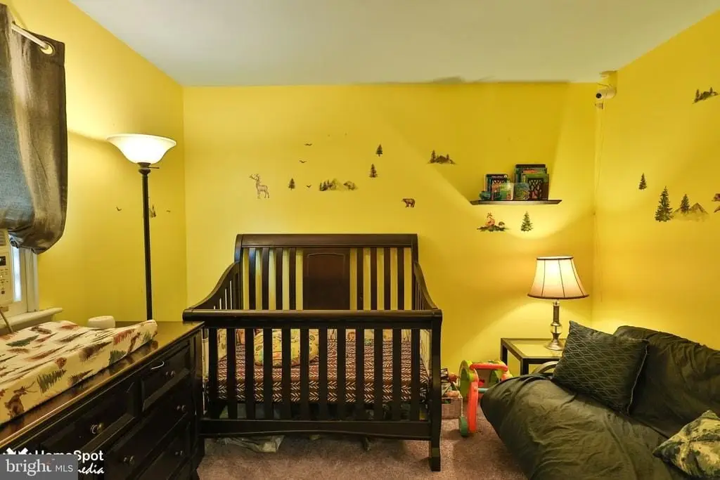 Picture 15