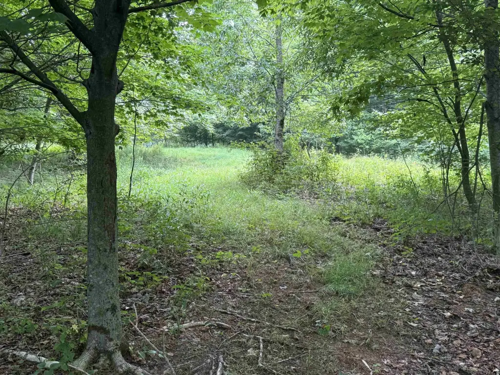 Picture 14