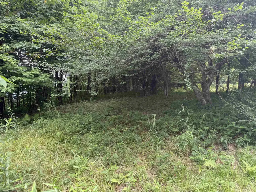 Picture 12