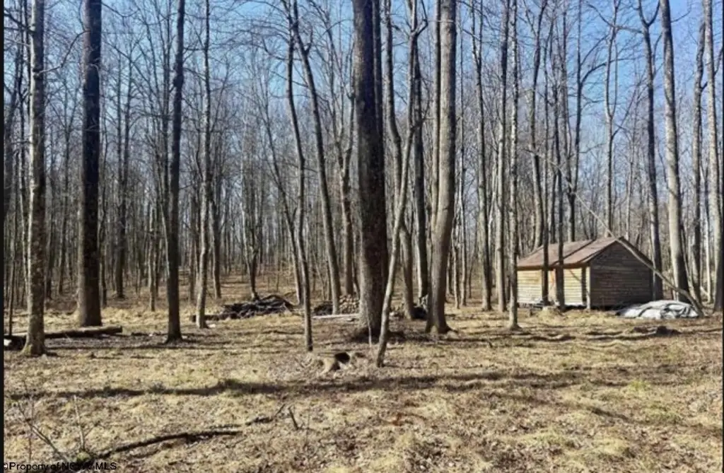 Picture 4