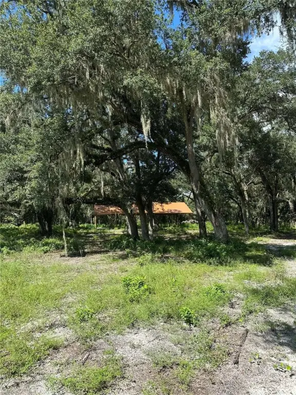 Picture 13