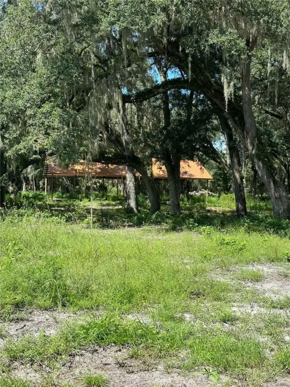 Picture 14