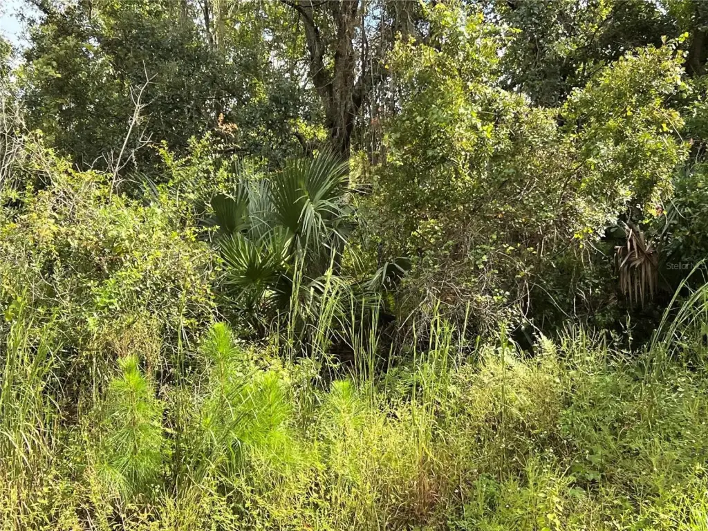 Picture 21