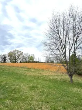 Rocky Mount Land For Sale