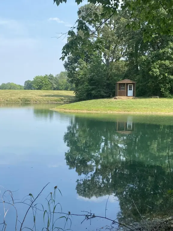 Picture 25