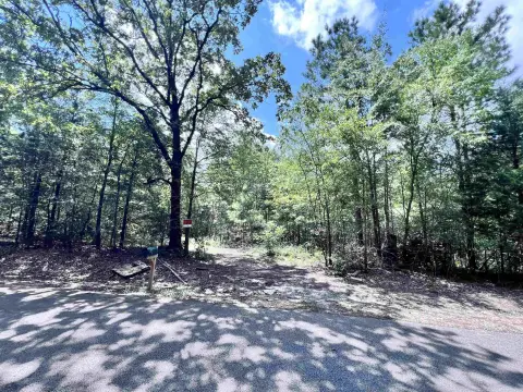 Wooded Lot in Hardeman County