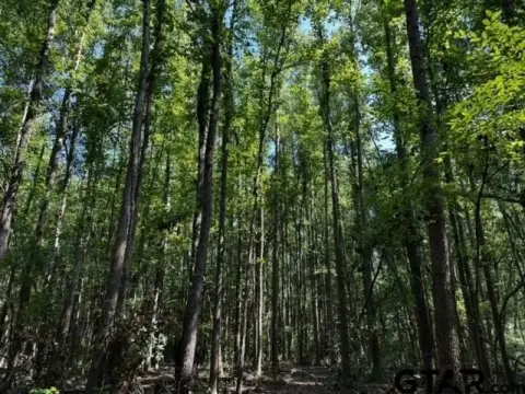Van, TX Wooded Acreage Tract