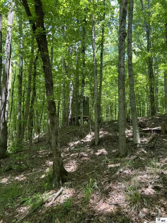 Picture 3
