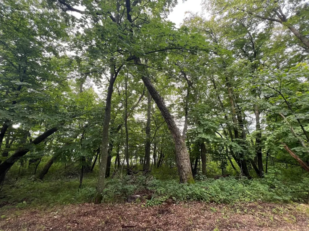 Picture 25