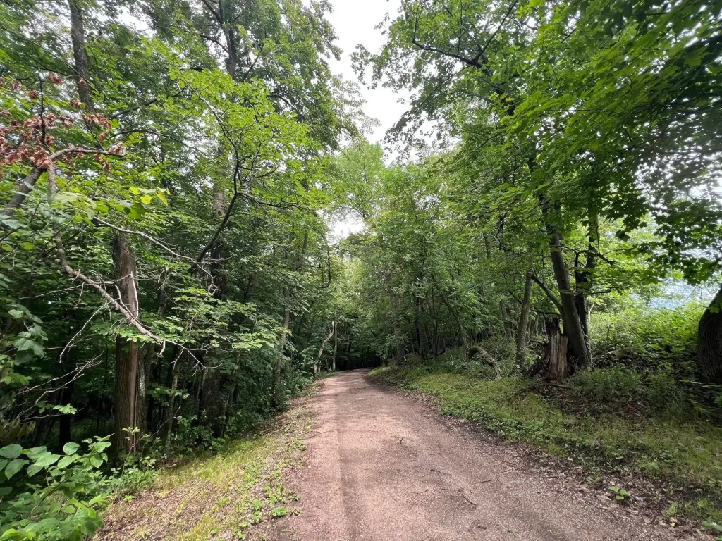 Picture 23