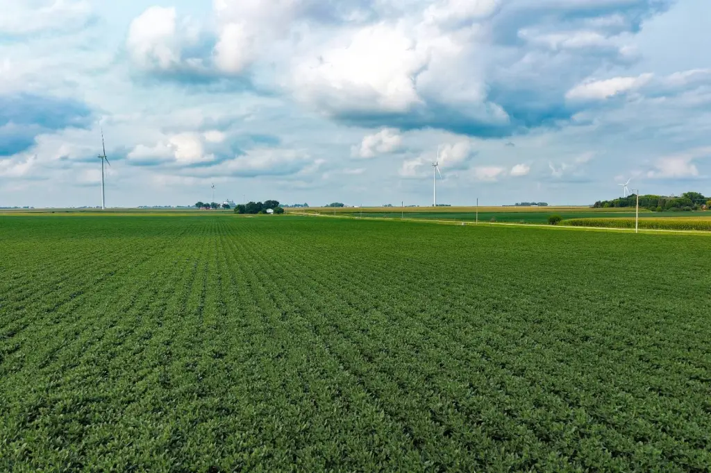 Picture 15