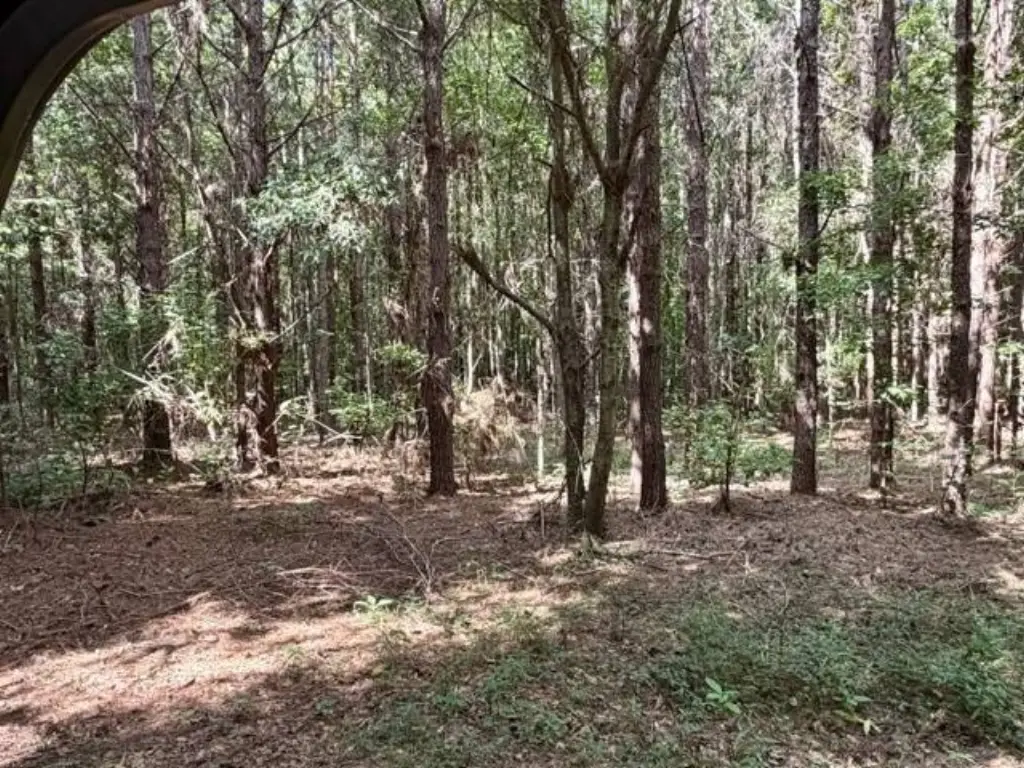Picture 80