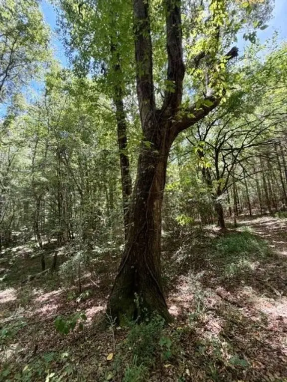 Picture 20