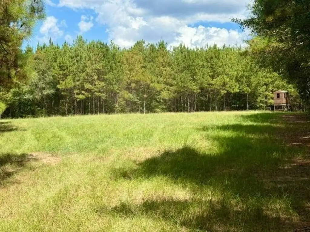 Picture 27