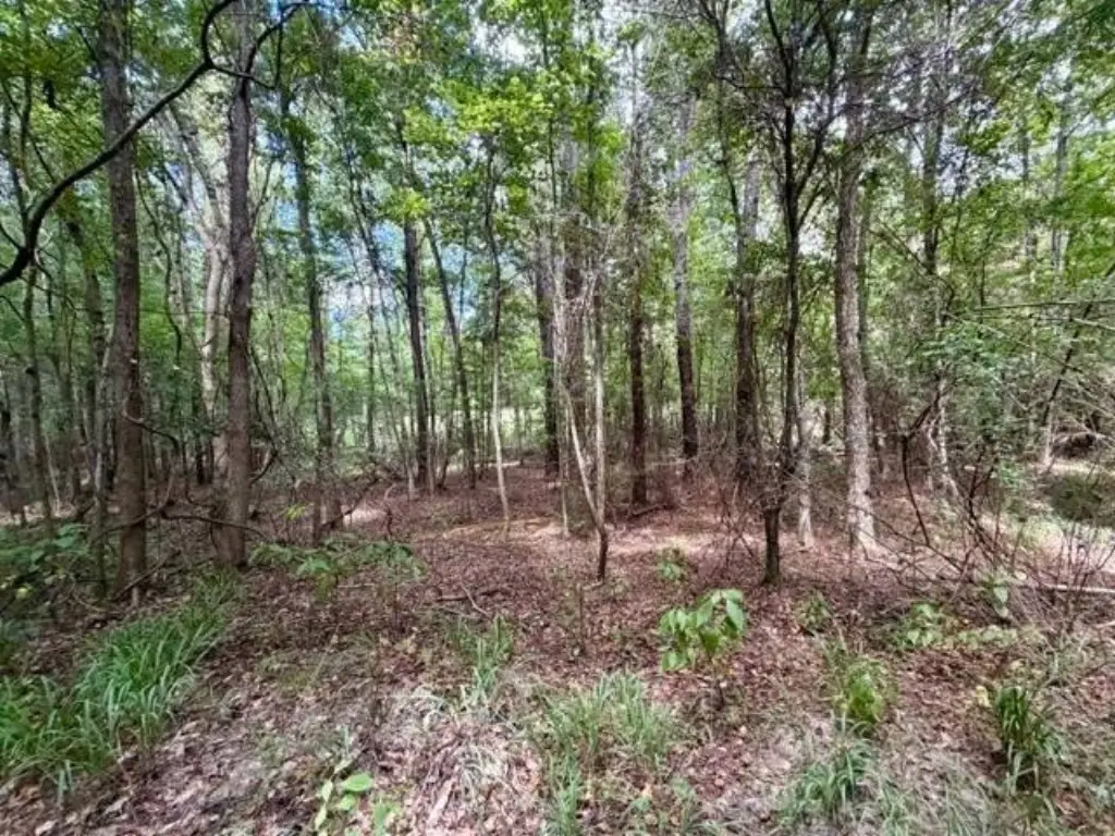 Picture 42