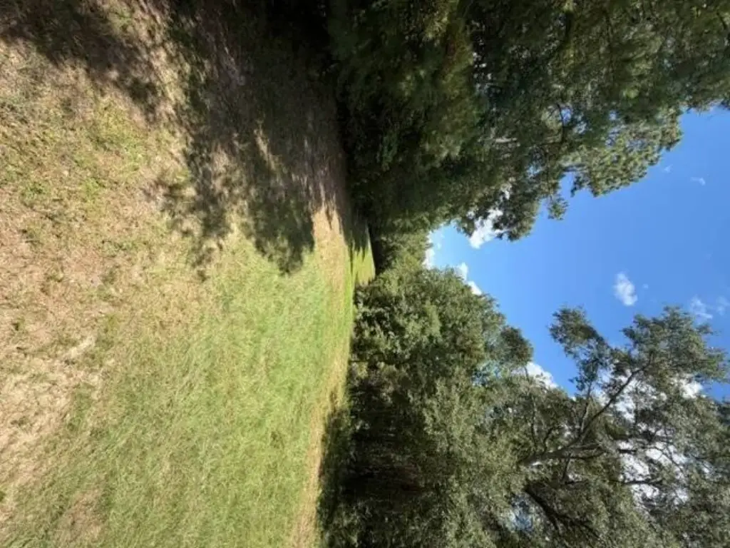 Picture 15